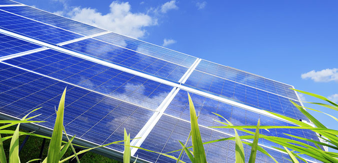 Investir dans l'écologie placement vert Forsis